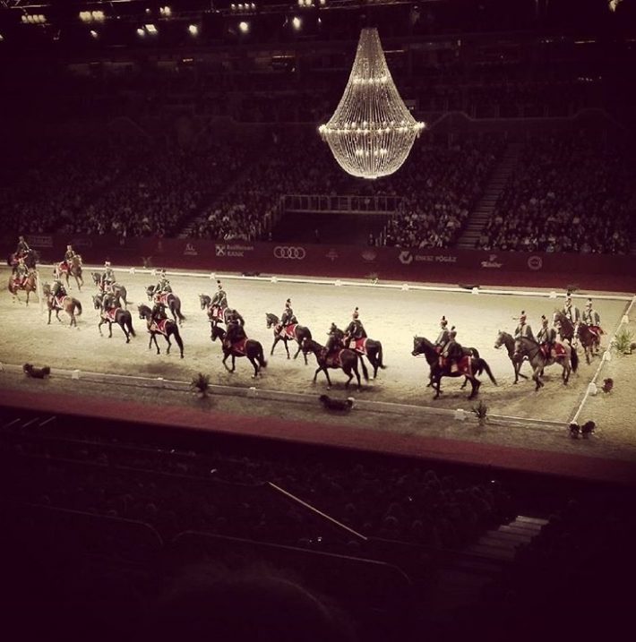 Decoração da performance dos Cavalos Lipizzan